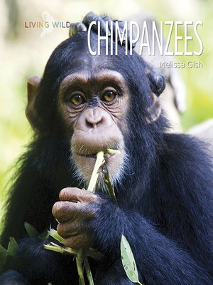 cover image of Chimpanzees